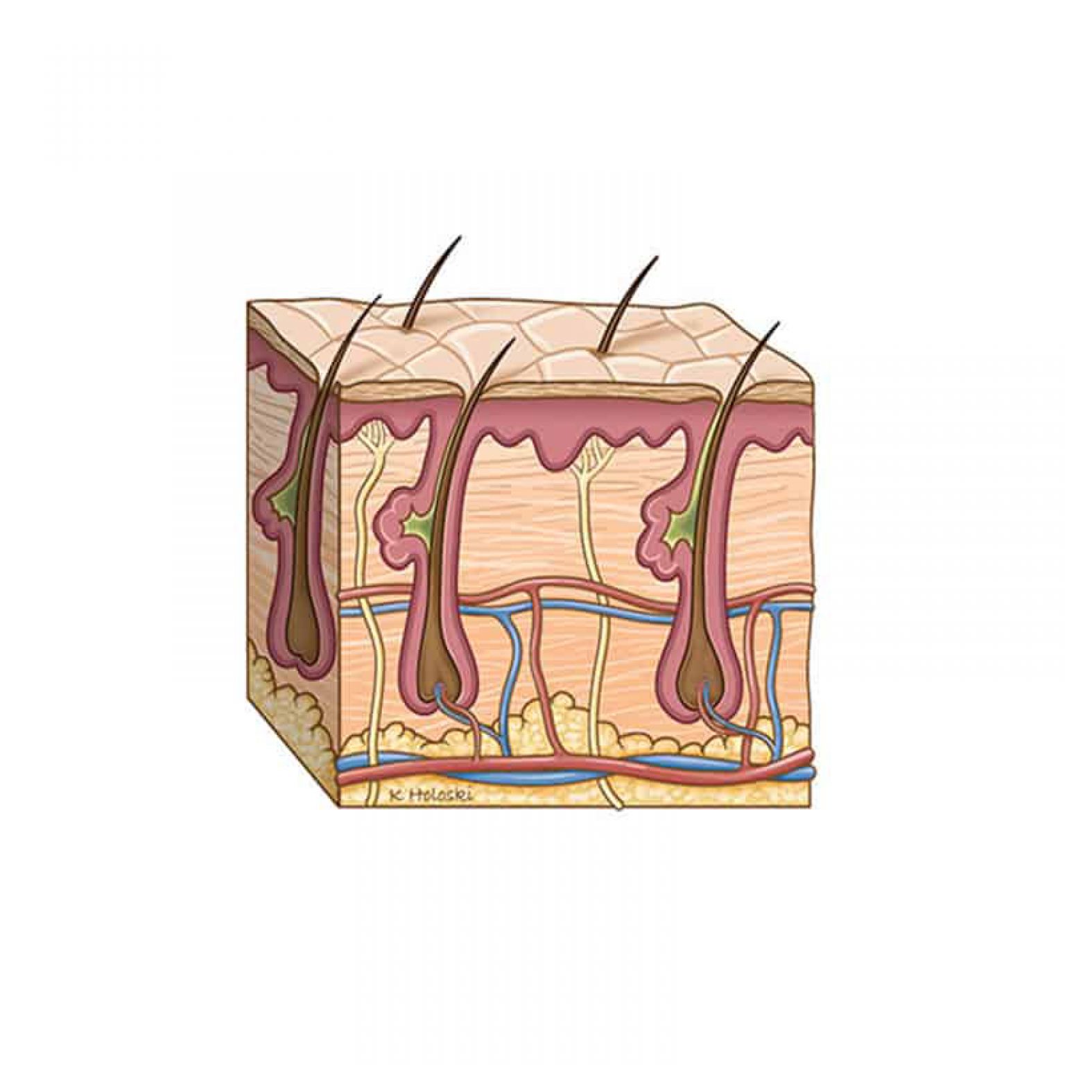 My Image 6