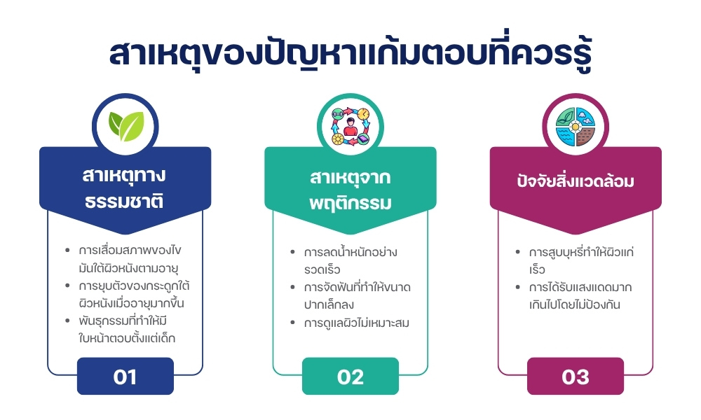 การทำงานของการฉีดไขมันแก้มตอบ