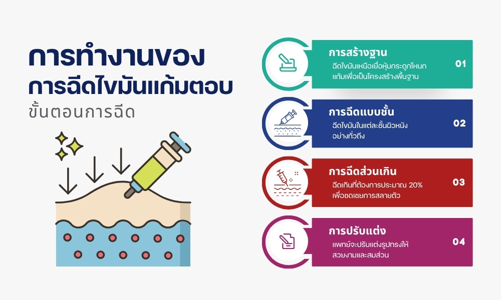 การทำงานของการฉีดไขมันแก้มตอบ