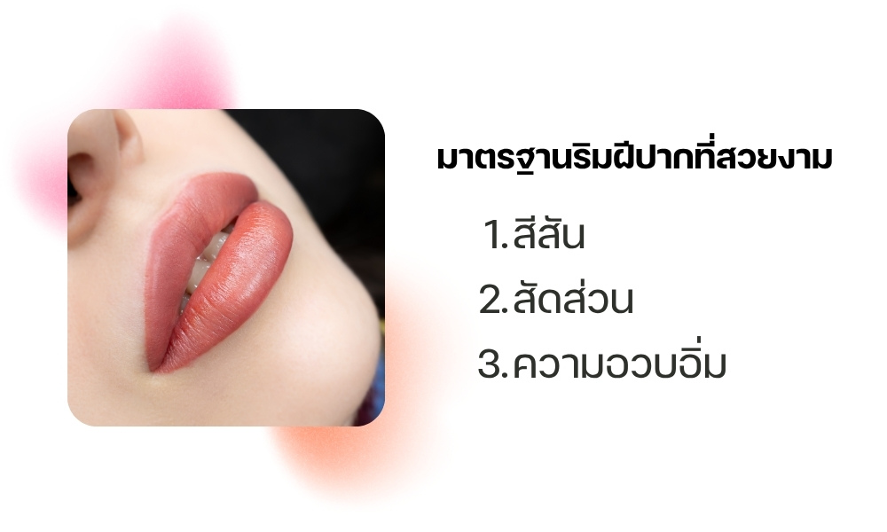 มาตรฐานริมฝีปากที่สวยงาม