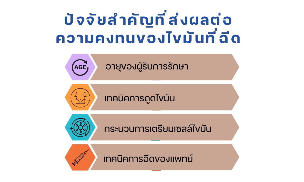 ปัจจัยสำคัญที่ส่งผลต่อความคงทนของไขมันที่ฉีด