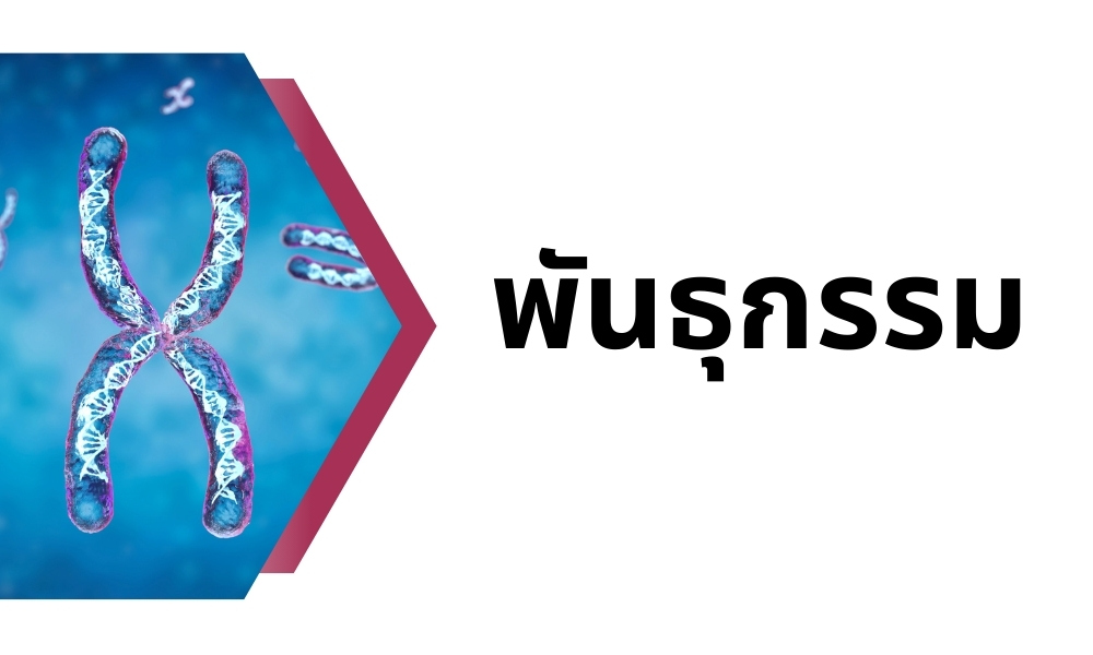 พันธุกรรม