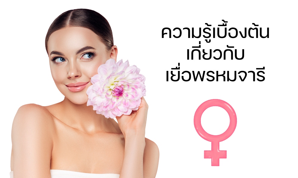 ความรู้เบื้องต้นเกี่ยวกับเยื่อพรหมจารี