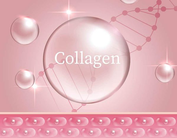 collagen (1)